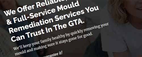 Mould Removal Company SEO