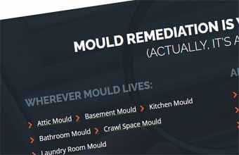 SEO For Mould Remediation Companies