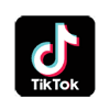 TIk Tok Advertising & PPC Marketing