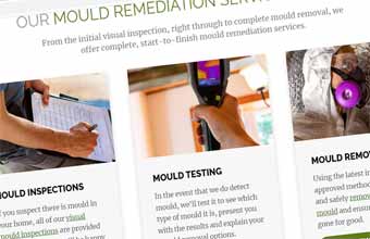 Website Design For Mould Remediation Companies